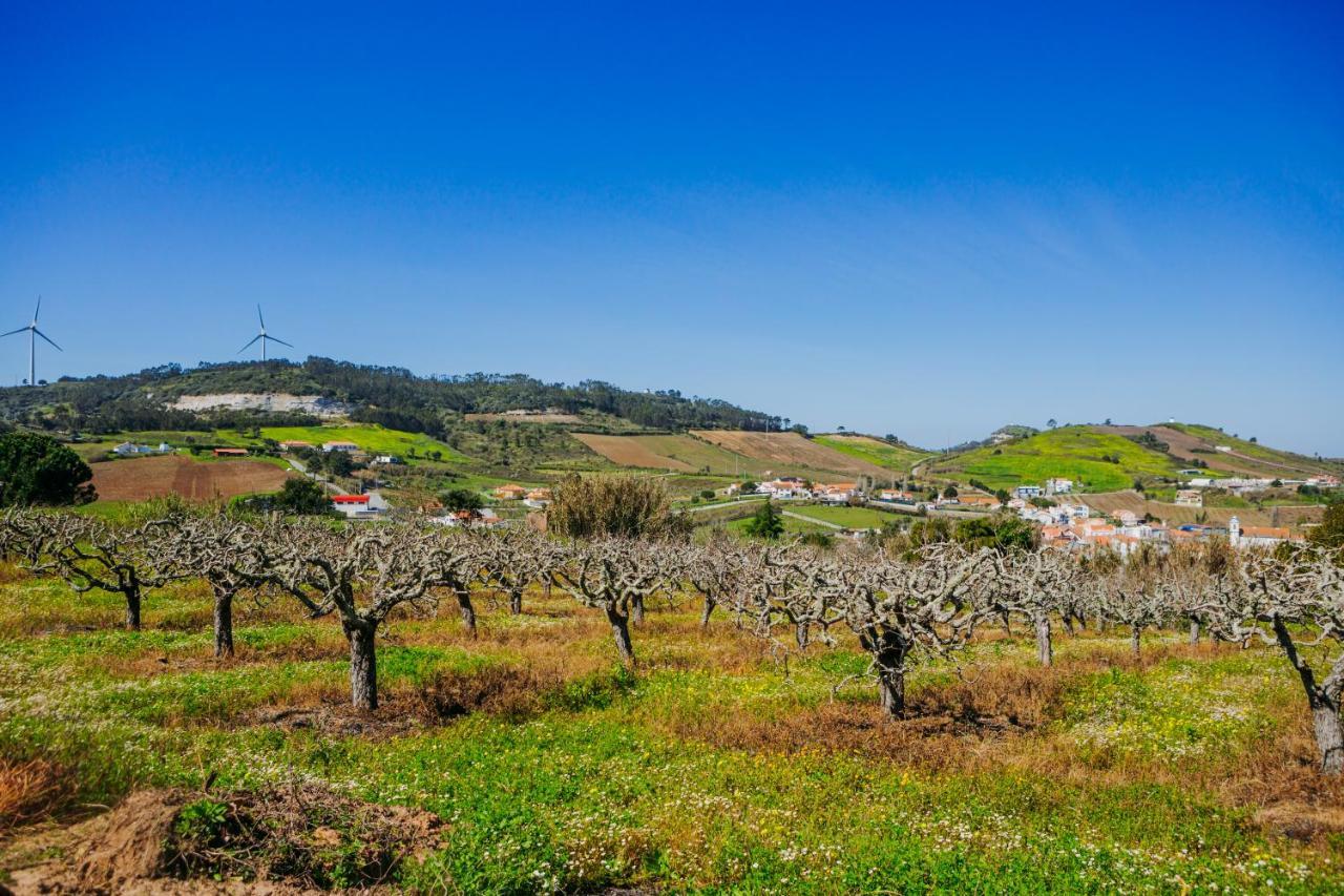 Traditional Portuguese Village House - Casa Martins No 52 Freiria Exterior foto